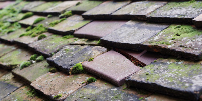 Barley End roof repair costs